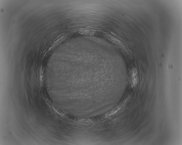 X0000083031154200702161634