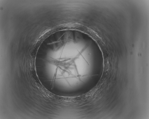 X0000083031158200702161634