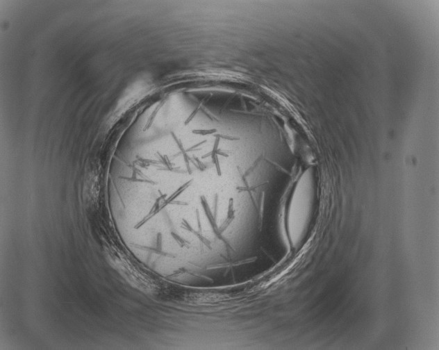 X0000083031163200702161634