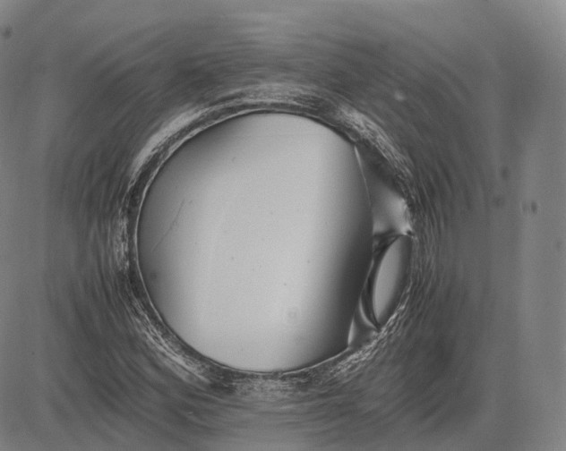 X0000083031164200702161634