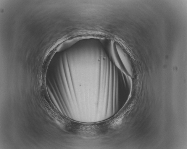 X0000083031165200702161634
