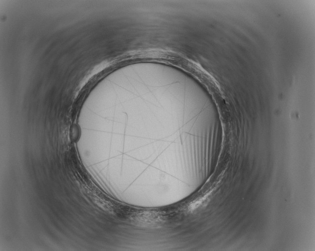 X0000083031166200702161634