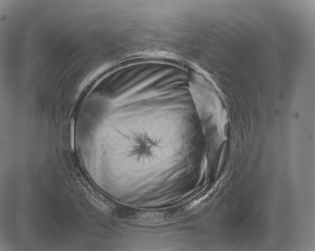 X0000083031171200702161634