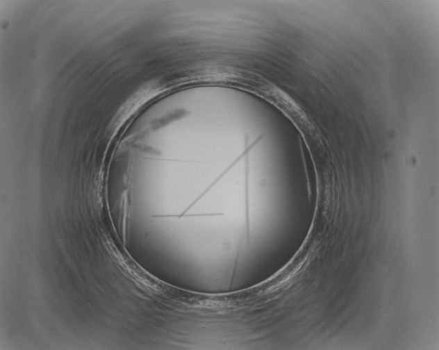 X0000083031178200702161634