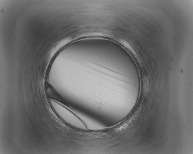 X0000083031181200702161634