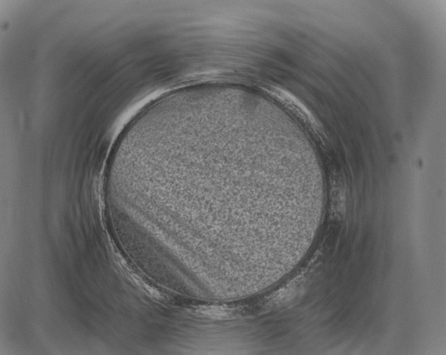 X0000083031182200702161634