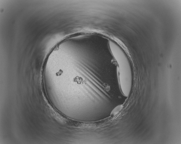 X0000083031183200702161634