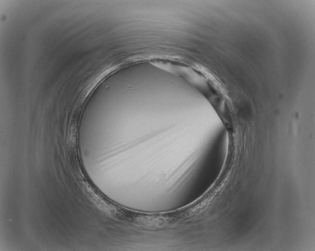 X0000083031185200702161634