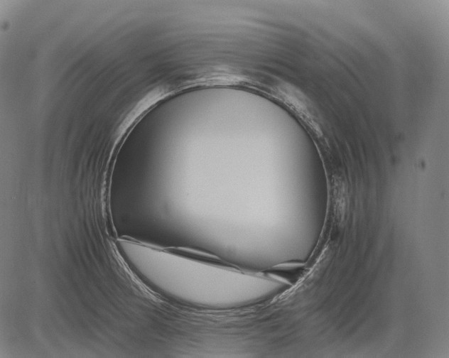 X0000083031186200702161634