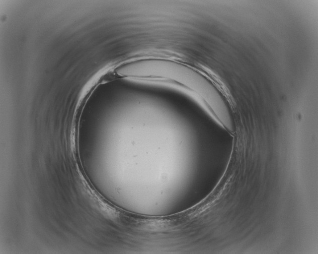 X0000083031188200702161633