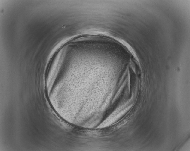 X0000083031191200702161633