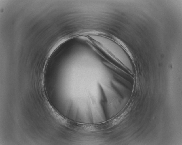 X0000083031194200702161633