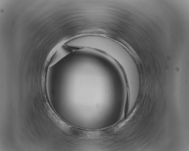 X0000083031196200702161633