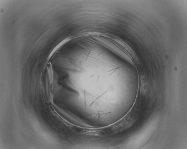 X0000083031198200702161633