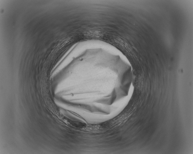 X0000083031201200702161633