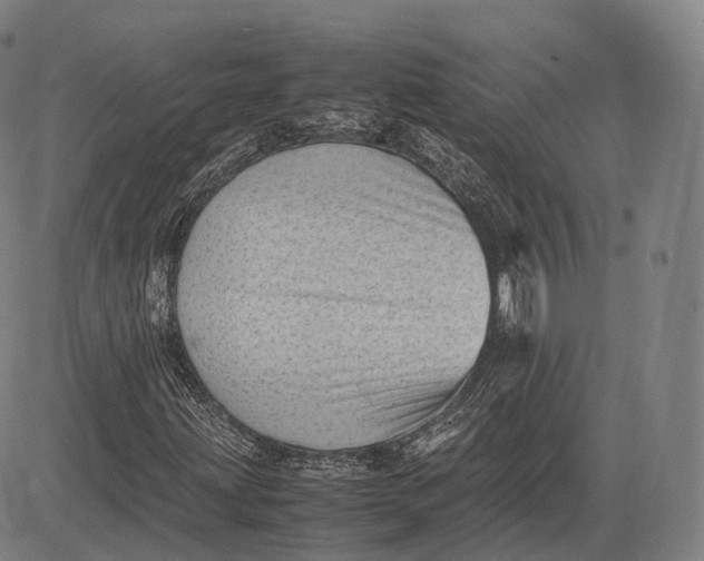 X0000083031203200702161633