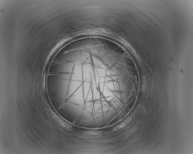 X0000083031224200702161633