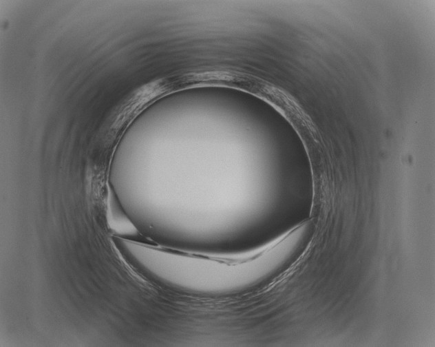 X0000083031225200702161633