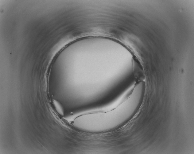 X0000083031238200702161633