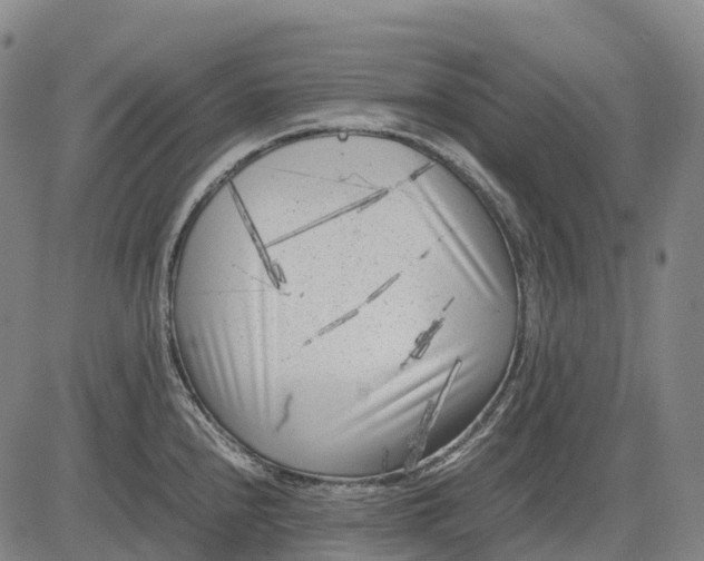 X0000083031240200702161633