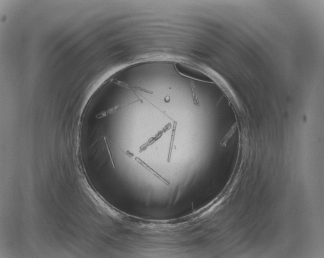 X0000083031244200702161633