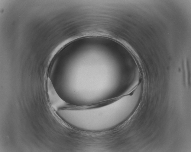 X0000083031246200702161633