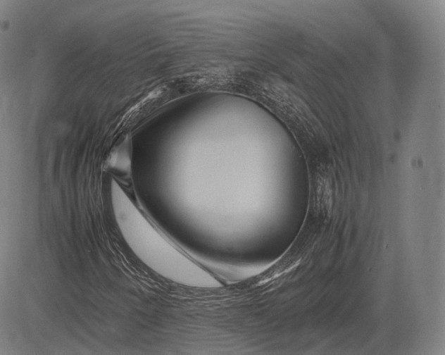 X0000083031250200702161632