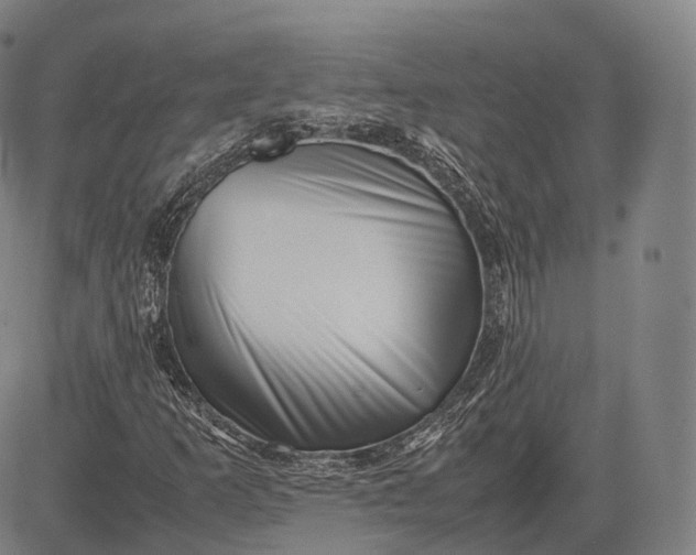 X0000083031253200702161632