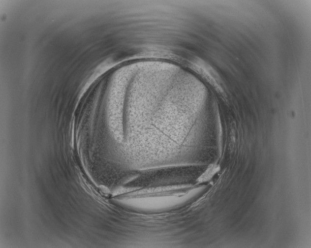 X0000083031276200702161632