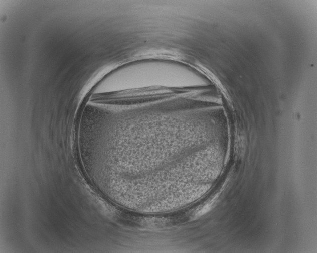 X0000083031277200702161632