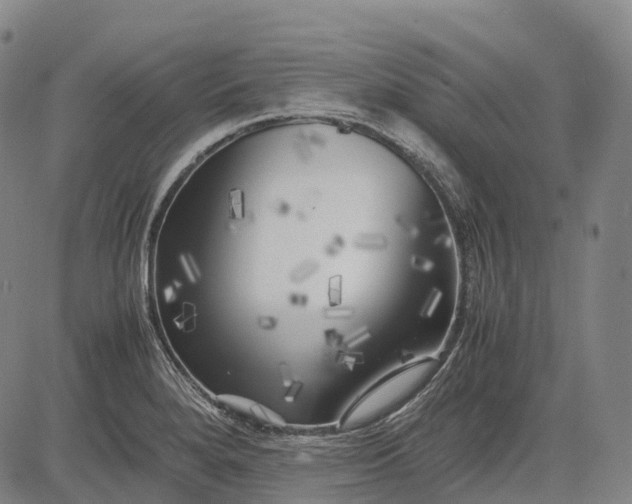 X0000083031280200702161632