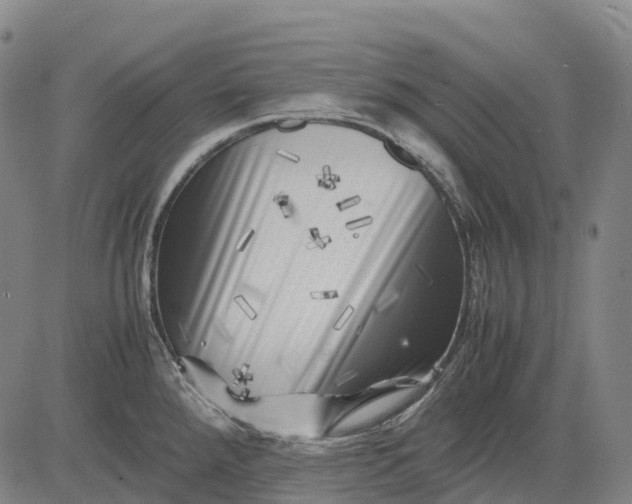 X0000083031288200702161632