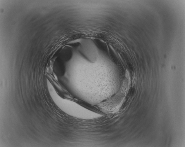X0000083031298200702161631