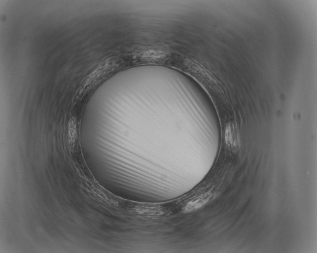 X0000083031299200702161631