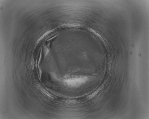 X0000083031306200702161631