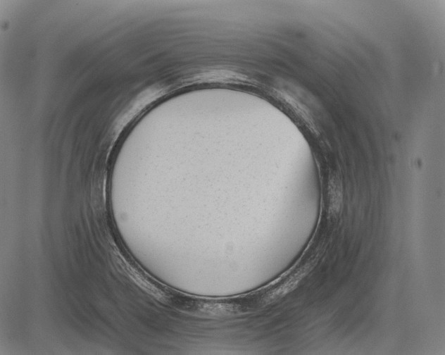 X0000083031322200702161631