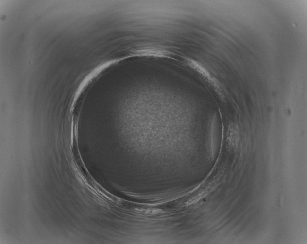 X0000083031323200702161631