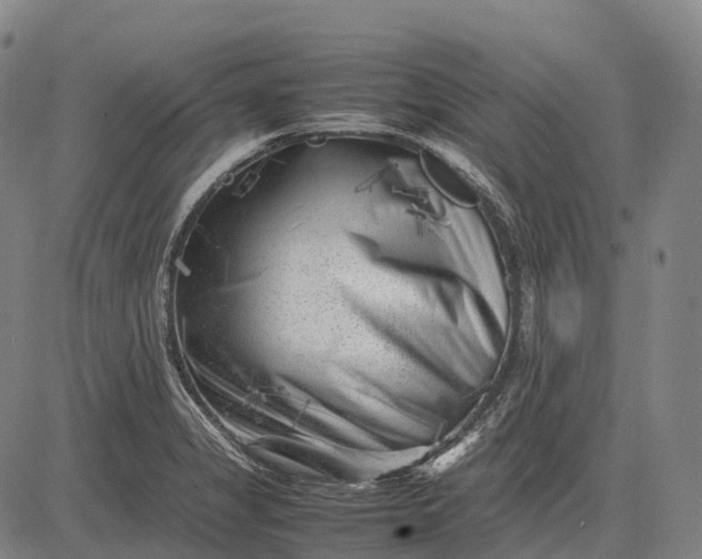 X0000083031325200702161631