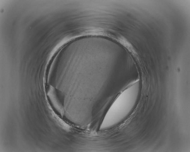 X0000083031334200702161632