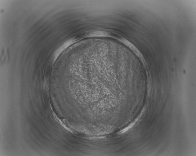 X0000083031337200702161632