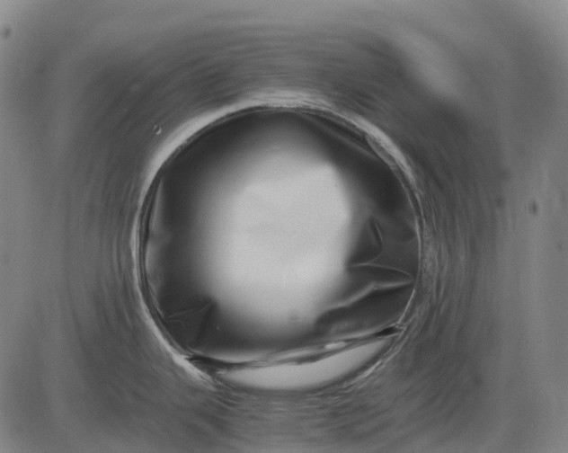 X0000083031343200702161632