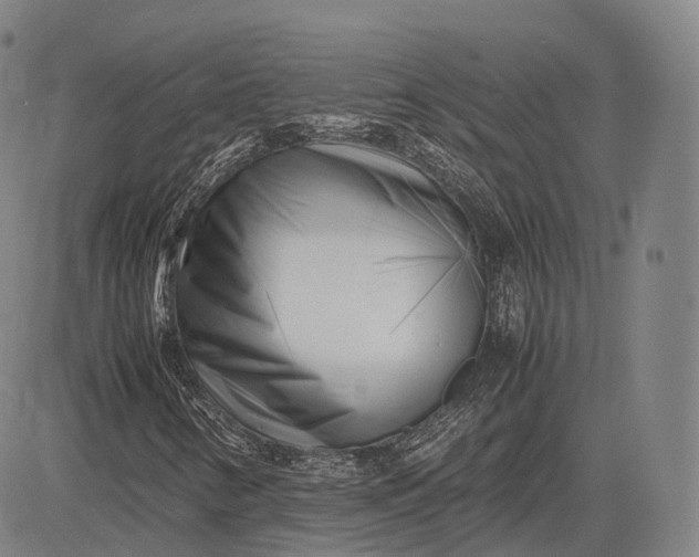 X0000083031346200702161631