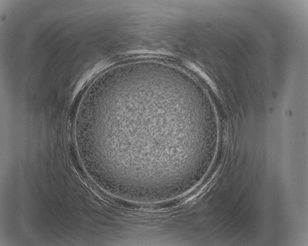 X0000083031357200702161631