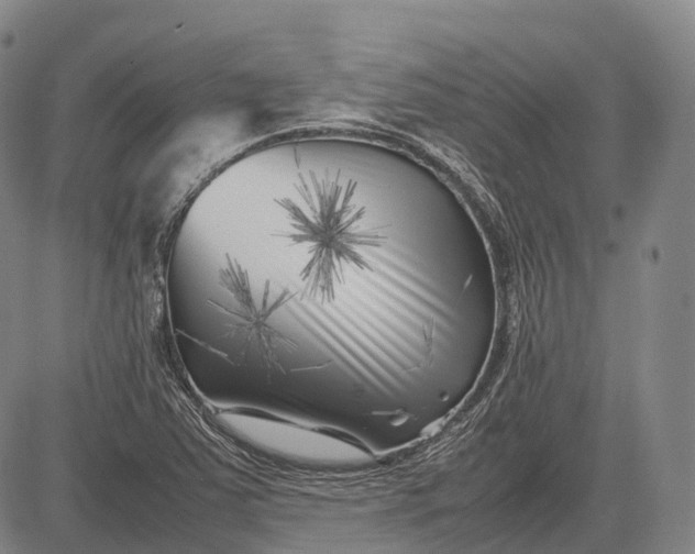 X0000083031363200702161631