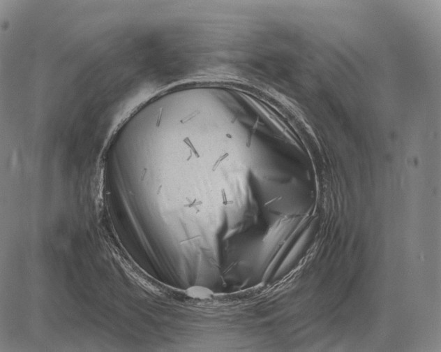 X0000083031366200702161631