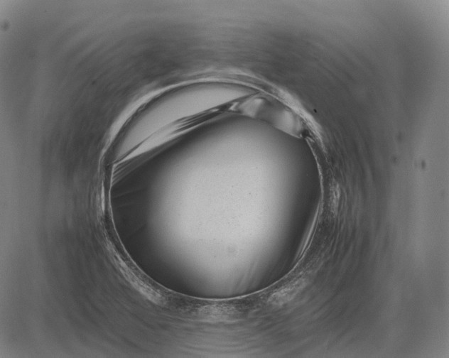 X0000083031368200702161631