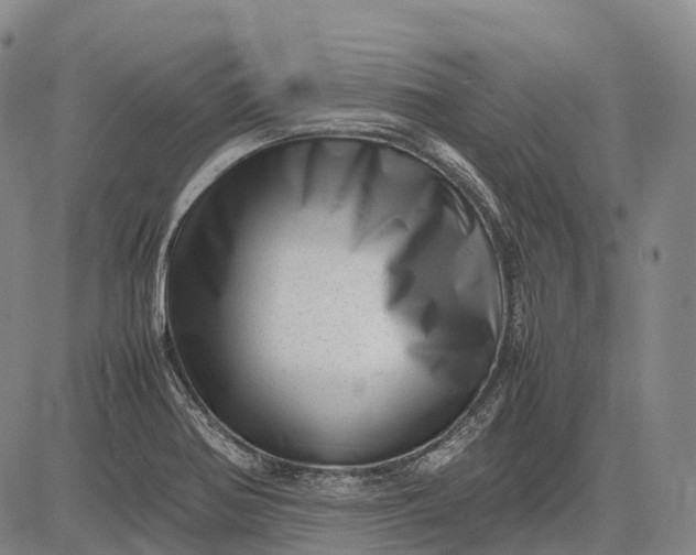 X0000083031370200702161631