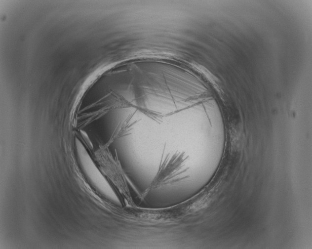 X0000083031371200702161631