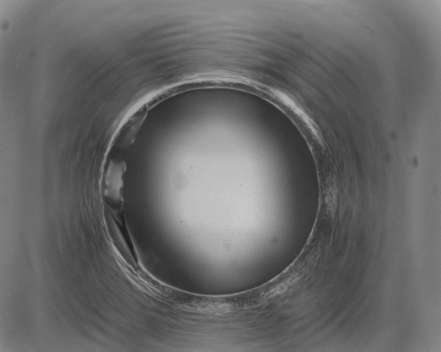 X0000083031372200702161630