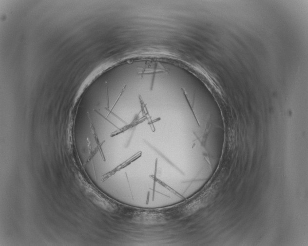 X0000083031374200702161630